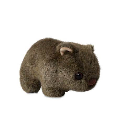 Wombat Stuffed Animal, Things With White Background, Animal Plushies, Best Souvenirs, Pets Toys, Soft Toys Making, Sharp Claws, Australian Gifts, Cute Plushies