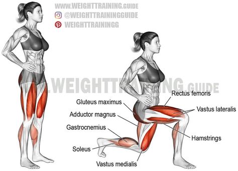 Reverse lunge. Targets your quadriceps (rectus femoris, vastus lateralis, vastus medialis, and vastus intermedius). Your gluteus maximus,… Lower Body Exercises Weights, Lunge Workout, Good Back Workouts, Leg Exercises, Weight Training Workouts, Plank Workout, Jump Squats, Jumping Jacks, Back Exercises