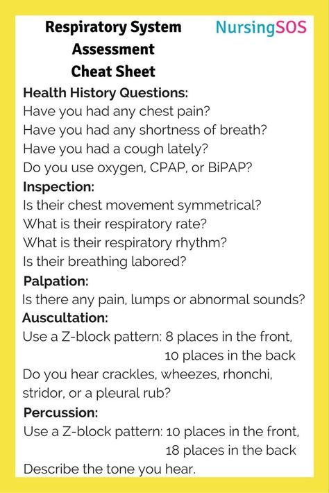 Respiratory Assessment, Respiratory Nursing, Cna School, Nursing Fundamentals, Nursing School Scholarships, Nursing Cheat Sheet, Nurse Practitioner School, Nursing School Prerequisites, Nursing Skills