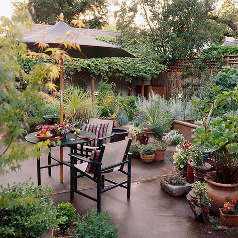 Potager Garden Design Small Spaces, Tiny Pots, Rustic Arbor, Tiny Backyard, Courtyard Gardens, Garden Corner, Small Courtyard Gardens, Dream Landscape, Small Courtyards