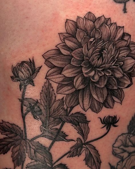 Dahlia Back Tattoo, Dahlia Flower Tattoo, Dahlia Flower Tattoos, Dahlia Tattoo, Los Angeles Tattoo, Botanical Tattoo, Black Dahlia, Creative Freedom, Tat Ideas