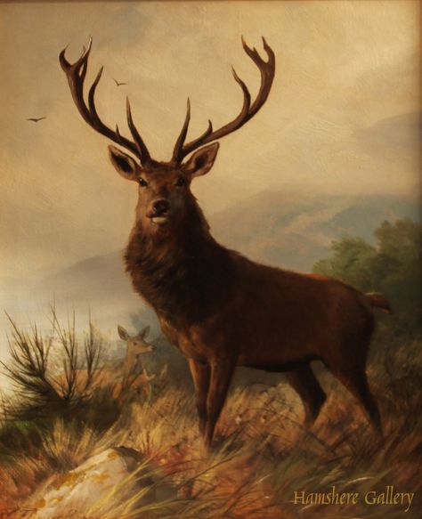 Click to see full size: Oil on canvas of Stag in Highland scene by Carl Frederick- Oil on canvas of Stag in Highland scene by Carl Frederick Stag Painting, Elk Pictures, Deer Pictures, Deer Painting, Deer Art, Wildlife Paintings, Anime Animals, Painting Wallpaper, Animal Wallpaper