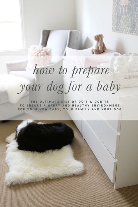 How to Prepare Your Dog for a Baby - The ultimate list of DO'S & DON'TS | www.prettyfluffy.com Baby Planning, Baby Sleep Problems, Baby Prep, Preparing For Baby, Baby Time, Baby On The Way, Everything Baby, Baby Hacks, Baby Dogs