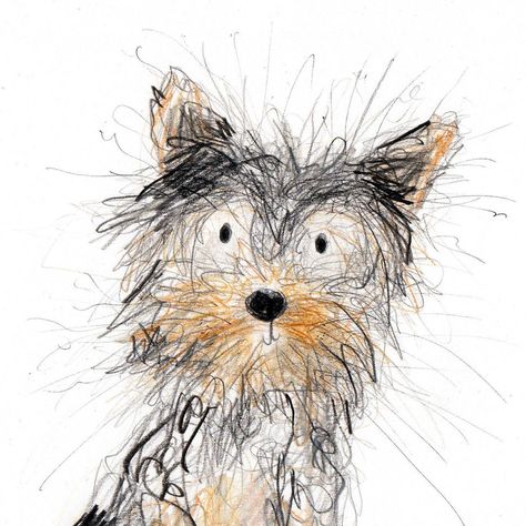 Catherine Rayner on Instagram: “Hello Jess! I’ve finally got around to drawing a Yorkshire Terrier (SO many requests!). Hope you like her. What a cutie!…” Catherine Rayner, Yorkie Painting, Dog Caricature, Dog Sketches, Different Types Of Dogs, Drawing Shoes, Puppy Drawing, Yorkie Terrier, Scribble Art