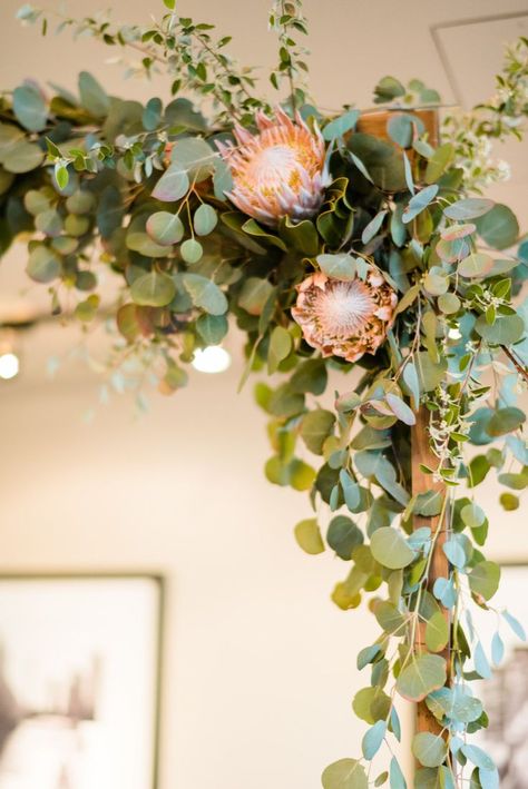 plan Protea And Eucalyptus Bouquet, Wedding Decor Protea, Eucalyptus And Protea Wedding Decor, Native Arbour Flowers, Protea Wedding Arch, Protea Wedding Decor, Protea Flower Wedding, Wedding Arbour Flowers, Wedding Arch Eucalyptus