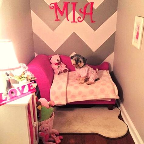 25 DIY Dog Room Decor Ideas | Social Doggy Club Dog Bedrooms, Dog Room Design, Dog Closet, Dog Room Decor, Dog Bedroom, Puppy Room, Dog Corner, Dog Spaces, Dog Room