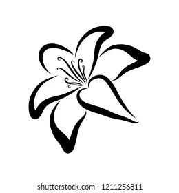 Lily Flower Logo, Black Lily Flower, Lily Flower Pattern, Sketch Flower, Lilies Drawing, Lily Flower Tattoos, Black Sketch, Dibujo Simple, Lily Tattoo