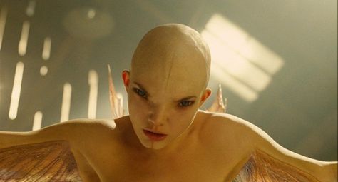 Splice (2009) | 44 Body Horror Movies To Kill Your Appetite Female Monster, Body Horror, Man Beast, Adrien Brody, Human Dna, Creature Feature, Stephen King, Horror Films, Aliens