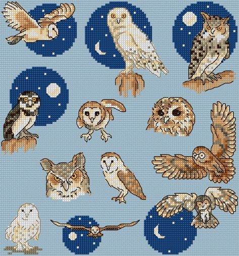 Maria Diaz Designs: Owls Motifs English Cross Stitch, Cross Stitch Owl, Saw Whet Owl, Owl Cross Stitch, Small Owl, Small Cross Stitch, Cross Stitch Books, Owl Patterns, Stitch Book