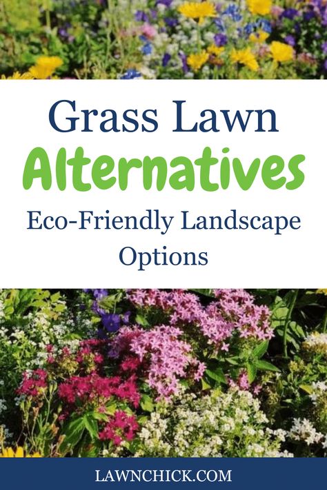 Get inspired to transform your turfgrass lawn into something much more unique and spectacular! If being eco-friendly is important to you, you should think about using one of the exciting ideas in this blog post. You should think about your personal style and maintenance preferences. Have you thought about a clover lawn? It's more eco-friendly, lower maintenance, and it has a lovely green shade. Or how about creeping thyme, bunchberry, or gold strawberries? Gold Strawberries, Lawn Alternative, Clover Lawn, Creeping Thyme, Pulling Weeds, Lawn Alternatives, Perennial Grasses, Low Maintenance Landscaping, Pollinator Garden