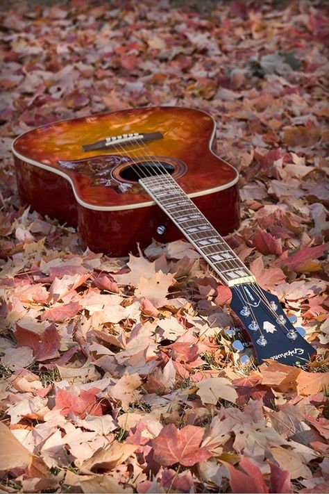 Take it easy...the #Epiphone Hummingbird PRO. Acoustic Guitar Aesthetic, Aesthetic Guitar, Arte Jazz, Acoustic Guitar Photography, Guitar Aesthetic, Guitar Lessons Songs, Best Guitar Players, Guitar Photos, Best Guitar