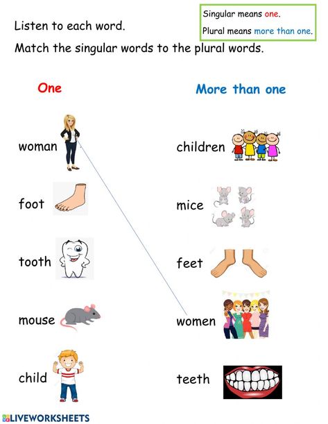 Plurals: Irregular Words - Interactive worksheet Irregular Plurals Worksheet, Singular Plural Worksheets Kindergarten, Irregular Nouns Worksheets, Plural Forms Worksheet, Nouns Worksheet Kindergarten, Nouns Kindergarten, Nouns For Kids, Irregular Words, Irregular Plural Nouns Worksheet