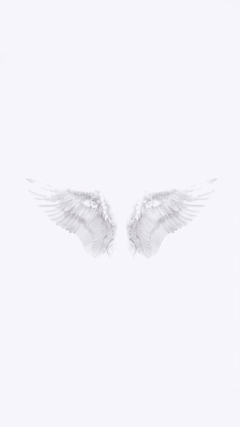 White wallpaper backgrounds for iPhone to download free Iphone New Wallpaper, Wallpaper Backgrounds For Iphone, Background Zepeto Room, White Wallpaper For Iphone, Wings Wallpaper, Wedding Card Frames, Baby Animal Drawings, New Wallpaper Iphone, Minimalistic Aesthetic