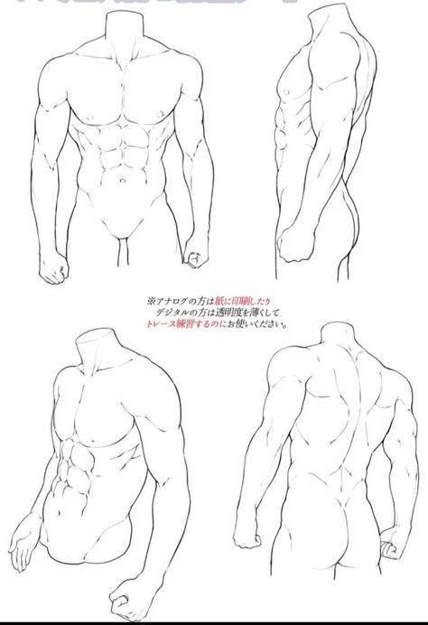 Webtoon Body Reference, Muscular Man Reference Drawing Side View, Men Body References, Mens Anatomy Reference, Sketches Men Body, How To Draw Someone Sitting Criss Cross, Male Anatomy Art Reference, Drawing Back Reference, Abs Side View Drawing