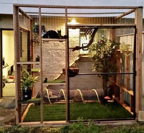 Cat Catio, Cat Room Decor, Cat Patio, Cat Pen, Outdoor Cat Enclosure, Cat House Diy, Cat Run, Cat Sanctuary, Outdoor Cat House