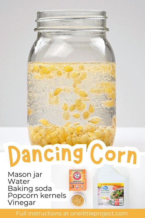 DANCING POPCORN - so cool!... - One Little Project Dancing Popcorn, One Little Project, Popcorn Kernels, White Vinegar, So Cool, Popcorn, Vinegar, Baking Soda, Mason Jars