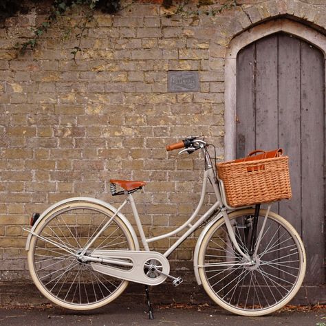 Bicycle Aesthetic, Dutch Bicycle, Dutch Bike, Bike With Basket, Toddler Bike, Bike Aesthetic, Living Etc, Vintage Cycles, Retro Bike