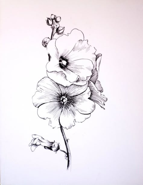 Original drawing gel pen on glossy paper, mallow flowers Drawing Items, Hur Man Ritar Blommor, Flowers Mandala, Mallow Flower, Kunst Tattoos, Draw Flowers, Flower Line Drawings, Flower Drawing Tutorials, Drawing Flowers