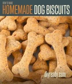 Homemade Dog Biscuits | Recipe and Instructions Homemade Dog Biscuits, Biscotti Recipes, Dog Biscuit, Dog Biscuits Homemade, Dog Biscuit Recipes, Doggie Treats, Dog Treats Homemade Recipes, Paleo Recipe, Diy Dog Treats