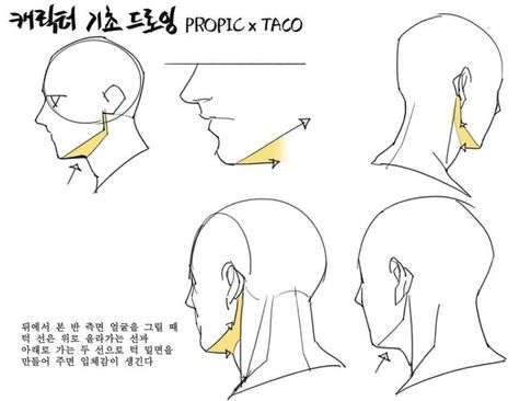 When drawing the 3/4 view of the chin from behind, drawing the line which goes up (jawline) and another line going down provides depth to the chin. Face Angles, 얼굴 드로잉, Anatomy Tutorial, Human Anatomy Drawing, 얼굴 그리기, Drawing Heads, Anatomy Sketches, Body Reference Drawing, 캐릭터 드로잉