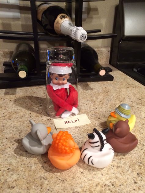 Hunting Elf On The Shelf Ideas, Elf Feeding Ducks, Elf On The Shelf Rubber Ducks, Elf On Shelf Rubber Ducks, Rubber Duck Christmas, Elf Classroom, Elve On A Shelf Ideas, Elf Ideas Easy, Xmas Elf