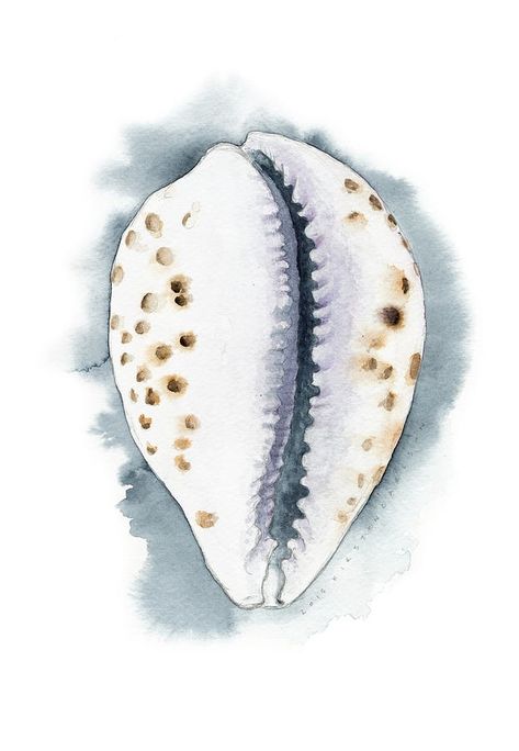 Seashell Illustration Drawing, Ocean Themed House, Abstract Watercolor Tutorial, Shell Drawing, Seashell Painting, Watercolor Ocean, Canvas Printing, Watercolor Art Lessons, White Cloud