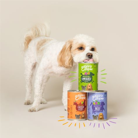 Pet Advertising, Pet Food Packaging, Paw Party, Wow Photo, Canned Dog Food, Wet Dog, Dog Branding, Pet Shampoo, Wet Dog Food