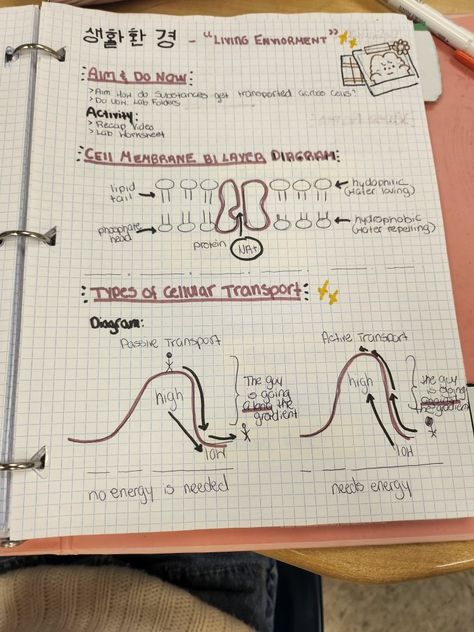 Passive Transport Notes, Passive Transport, Active Transport, Lab Activities, Aesthetic Notes, Biology Notes, Cell Membrane, Biology, Quick Saves