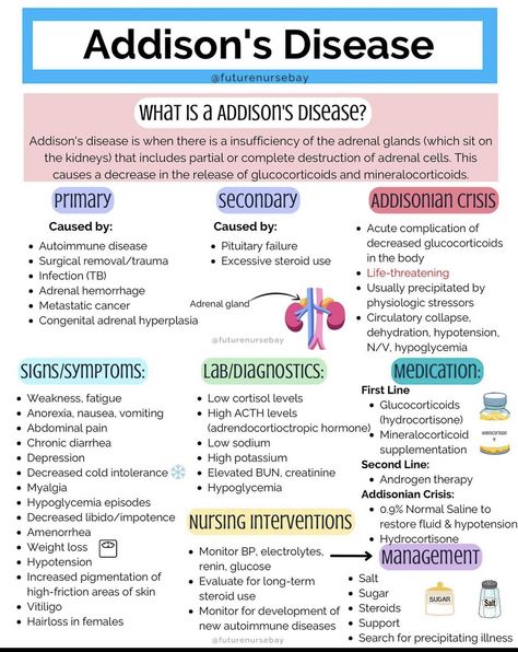 Pathophysiology Nursing, Nursing School Studying Cheat Sheets, Nursing School Organization, Addison's Disease, Nursing School Essential, Nursing Study Guide, Medical School Life, Nursing School Motivation, Addisons Disease