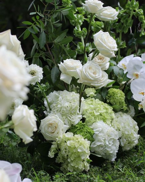 A green and white color palette is both modern and classic 🤍 • • • • • • #tampabridetobe #tampaflorida #tampaweddings #weddinginspo #weddingflowers #weddinginspiration #floridawedding #hydrangea #hydrangeawedding #modernwedding #weddingdecor #weddingday #weddingflorist Green And White Color Palette, Green Hydrangea Wedding, White Hydrangea Wedding, Hydrangea Garland, White Color Palette, White Dahlia, Hydrangea Wedding, Hydrangeas Wedding, Design Boards