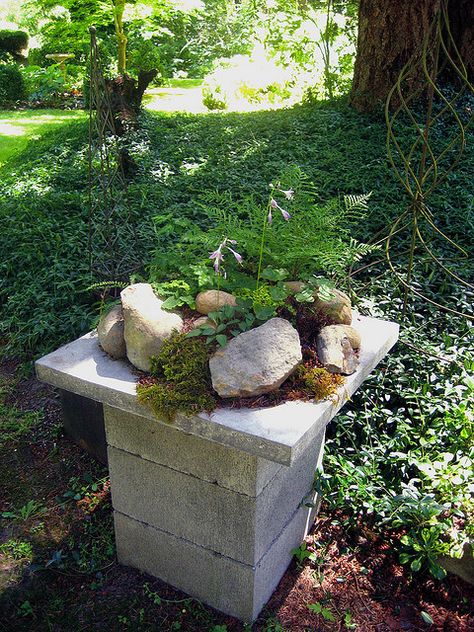 Cinder Block Garden, Zen Garden Design, Cinder Blocks, Tropical Garden Design, Diy Backyard Landscaping, Have Inspiration, Garden Containers, Garden Yard Ideas, Diy Landscaping