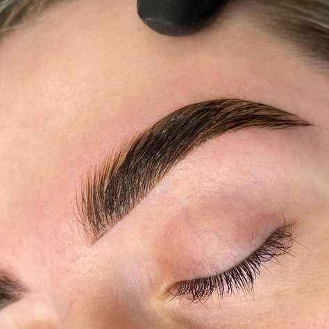 Brow Tint Aesthetic, Brow Wax And Tint, Brow Lamination And Tint, Brow Tint, Eyeshadow Styles, Brow Studio, Eyeliner Techniques, Embrace Natural Beauty, Makeup Brushes Guide