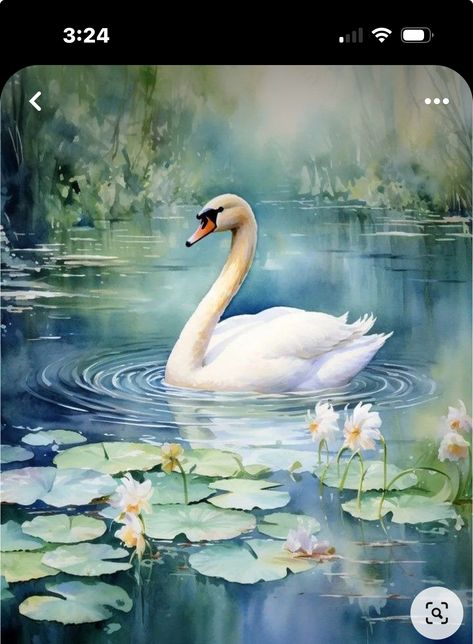 Swan Watercolor, Ocean Mural, Swan Pictures, Swan Painting, Colorful Landscape Paintings, Swans Art, Duck Art, Photo To Art, Lake Painting