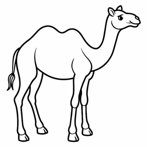 Premium Vector | Coloring book cute camel with outline stroke Camel Drawing Easy, Animal Outline Drawing, Camel Drawing, Camel Craft, Camel Painting, Drawing Pictures For Kids, Owl Coloring, Nativity Costumes, Camels Art