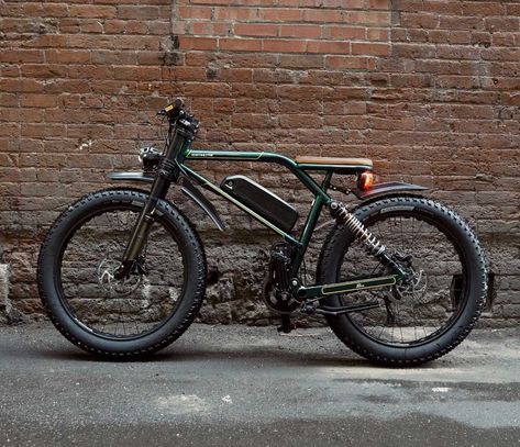 Ebike Electric Bicycle, Electric Moped, Electric Bike Bicycles, Biking Diy, Best Electric Bikes, Power Bike, Motorized Bicycle, Custom Bicycle, Fat Bike