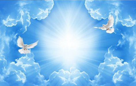 céu / sky / cielo Heaven Pictures, Cloud Ceiling, Blue Sky Wallpaper, Custom Photo Wallpaper, Dove Pictures, Ceiling Painting, Personalized Wallpaper, Blue Sky Clouds, Heaven Art