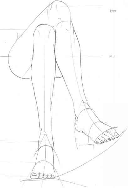 Legs crossed reference Uchimaki Family, Ako Kresliť, Structural Drawing, Drawing Faces, Anatomy Drawing, Poses References, Digital Painting Tutorials, Body Drawing, Anatomy Reference