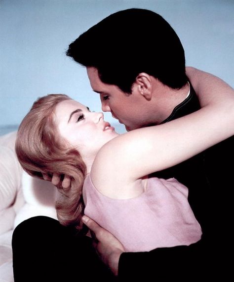 Elvis and Ann-Margret Elvis Presley Movies, Jailhouse Rock, Elvis And Priscilla, Ann Margret, Elvis Movies, Elvis Presley Photos, Priscilla Presley, Lisa Marie Presley, Graceland