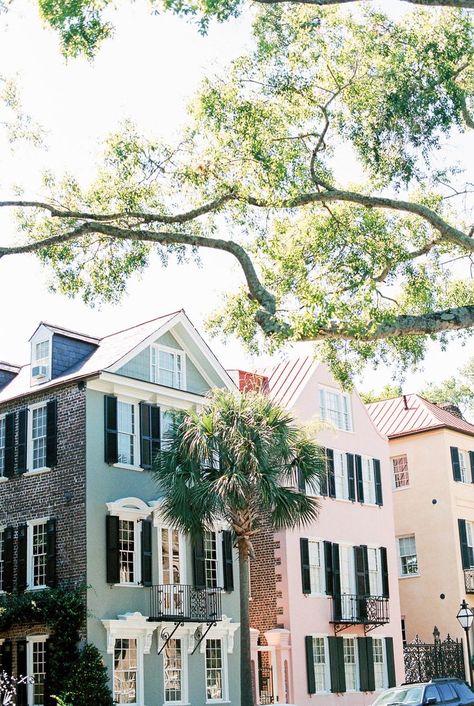 Estilo Charleston, Charleston Photography, South Carolina Travel, Charleston Style, South Carolina Homes, Charleston Travel, Live Oak Trees, Charleston Homes, Folly Beach