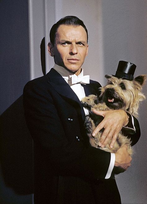 Frank Sinatra holding a Cairn Terrier Pal Joey, Celebrity Dogs, Jean Dujardin, Jeanne Moreau, Isabelle Adjani, Mia Farrow, Cairn Terriers, Isabelle Huppert, John Wilson