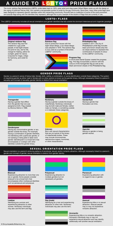 Pride Flags And Their Meanings, Lgbtq Meaning Of Each Flag, All Pride Flags And Meanings, All Lgbtq Flags And Meanings, Lgbt Flags And Meanings, Lgbtq Flags And Meanings, Sexuality Flags Meanings, Lgbtq Meaning, Lgbtq Pride Flags