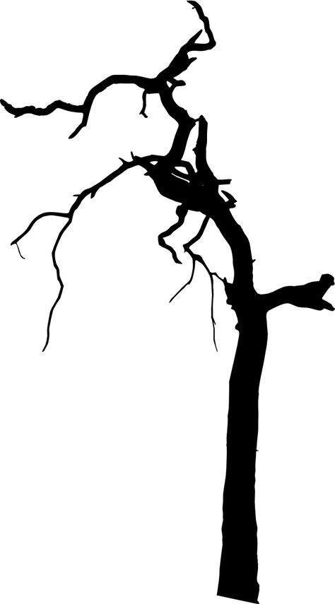 Scary Shadow, Creepy Tree, Tree Shadow, Tree Png, Tree Silhouette, Reference Photos, Halloween, Quick Saves