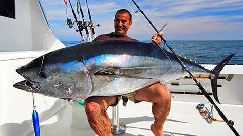 Deep Sea Fishing Features and Charts | FISHTRACK.COM Bluefin Tuna, Tuna Fishing, Giant Fish, Fishing Photos, Monster Fishing, Salt Water Fishing, Salt Water Fish, Offshore Fishing, Fishing Pictures