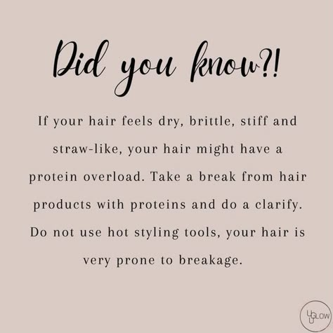 Hair Facts Tips, Hairstylist Tips Hair Tricks, Hair Tip Tuesday Quotes, Tip Tuesday Hair, Quotes Hairstylist, Hairstylist Post, Hair Tip Tuesday, Appointment Template, Salon Marketing Social Media