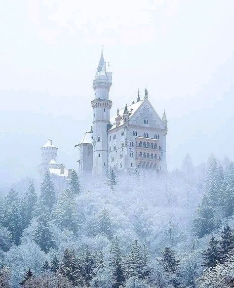 Medieval Forest, Germany Winter, Landscaping Images, Castle Tower, Neuschwanstein Castle, Apartment Architecture, Beautiful Castles, Winter Forest, Germany Travel