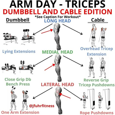 Tricep Workout Gym, Tricep Workout Women, Push Day Workout, Arm Day Workout, Chest And Tricep Workout, Triceps Exercises, King Warrior, Chest Workout For Men, Bicep And Tricep Workout