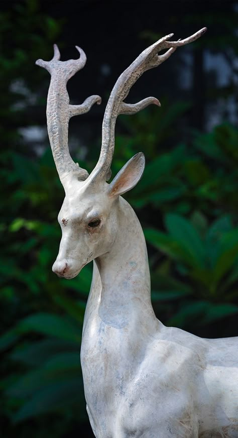 Creature Fantasy, Albino Animals, White Deer, Animal Study, Pretty Animals, Creature Concept, Animal Sculptures, Creature Design, 귀여운 동물