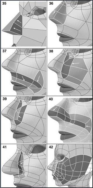 Modeling the Human Figure #3DModeling #DigitalArt #CGI #3DDesign #VirtualReality #ComputerGraphics #3DPrinting #Animation Character Topology, 3d Max Tutorial, Face Topology, 3d Topology, Maya Modeling, 3d Karakter, Polygon Modeling, Zbrush Tutorial, 3d Modeling Tutorial