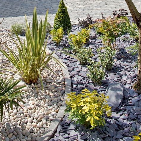 Atlantic Pebbles and Cobbles with Plum Slate Chippings and Rockery - Latest Member Projects - Landscape Juice Network Plum Slate, Garden Ideas Uk, Rockery Garden, Moderne Have, Slate Garden, Small Front Gardens, Pebble Garden, Seaside Garden, Front Gardens