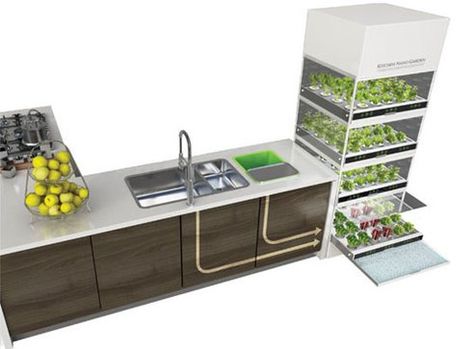 Sleek hydroponic unit lets you grow a garden in your kitchen : TreeHugger.  Now I need the DIY version!  This one is too sterile looking for my house. Growing Food Indoors, Indoor Vegetables, Hydroponic Farming, Hydroponics Diy, نباتات منزلية, Hydroponic Growing, Indoor Vegetable Gardening, Growing Veggies, Aquaponics System